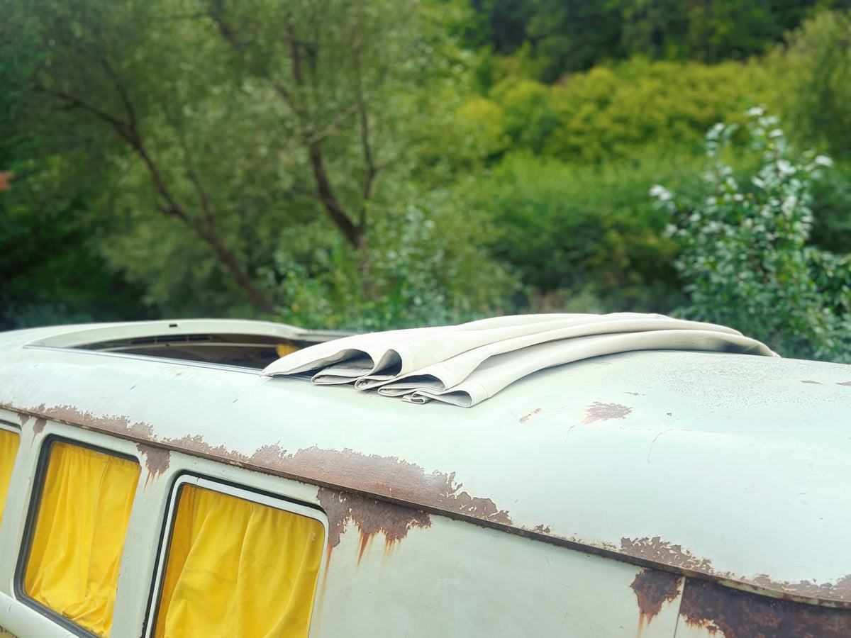 VW T1 Mango 1960